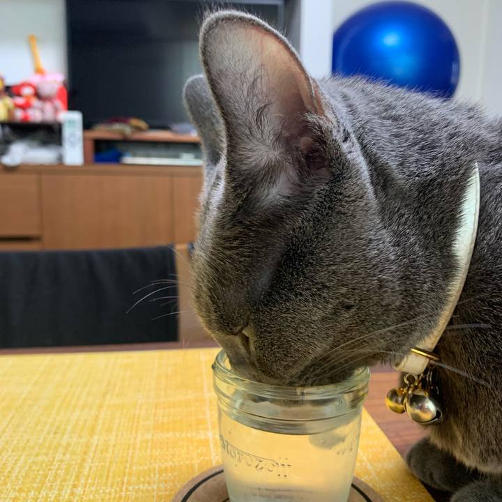 18cfcd70 6f7a 4718 bf82 964a79b33308 1656638147407