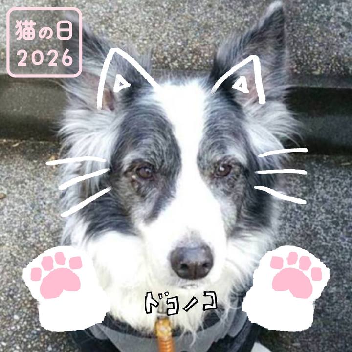 18cfed23 c37d 4893 8cd8 34410a86498e 1771726704048