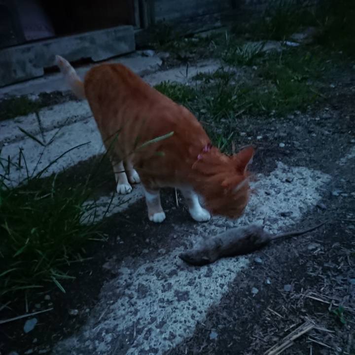 18d013e6 3c13 4f1b ba82 12ae5d6192a3 1599902750372