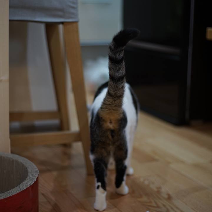 18d03e0b 7995 4311 97d5 c0d7737fb746 1513725791572