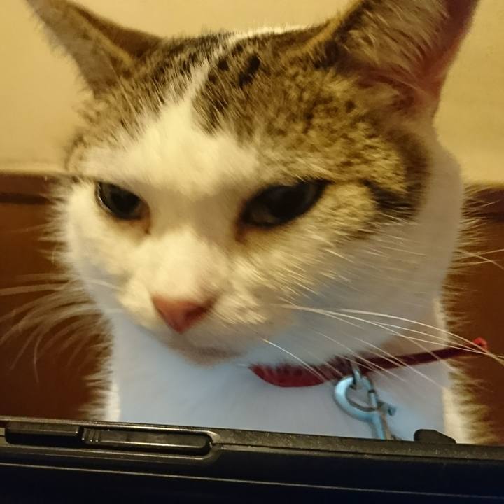 18d0430e f9c2 4eb0 87f0 0049d03e6208 1509278872254