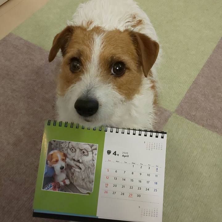 18d05ecf 6149 4ee0 b62c 2772fc5cc581 1585694016431