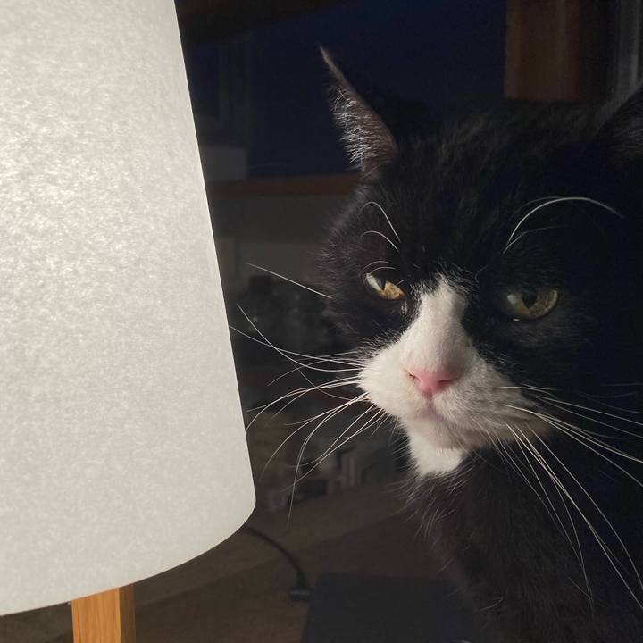 18d0689a a168 4c3d 85e0 7ea5d5020133 1639660367367