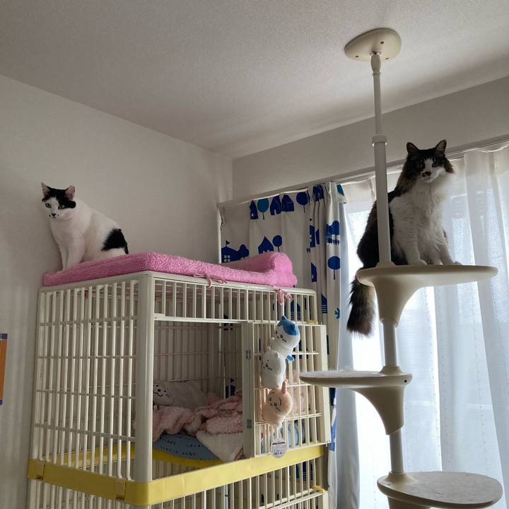 18d0b3a7 038d 4d98 82c4 cb23186f17a4 1774664211047