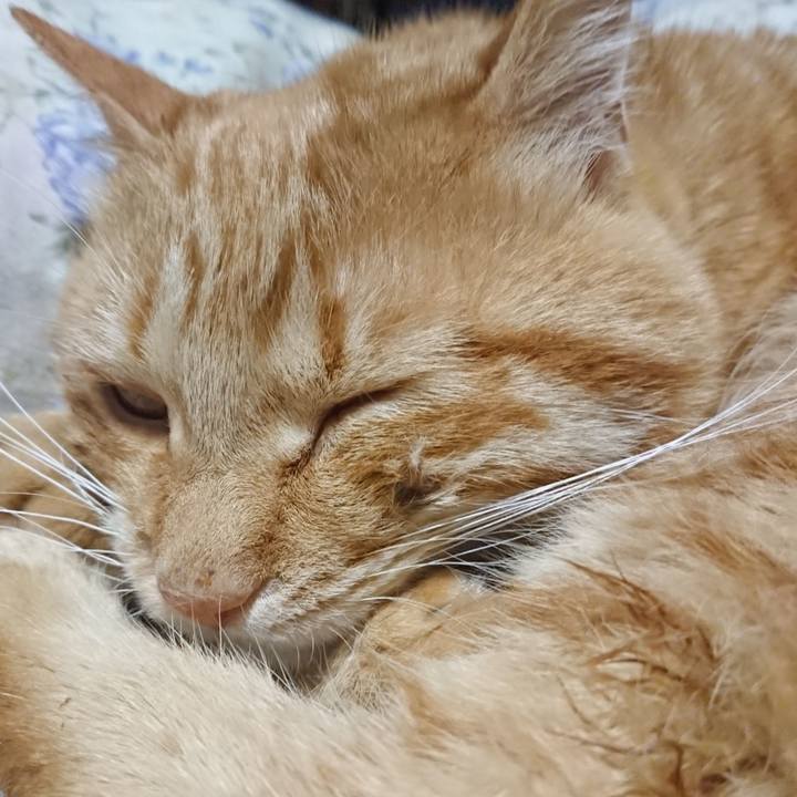 18d0d078 7588 4bc9 9929 b32261928edd 1654261529602