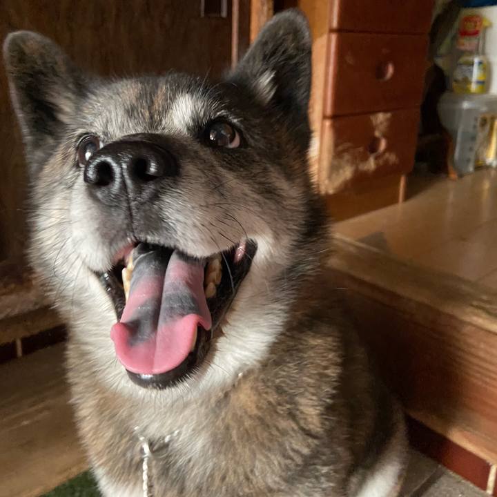 18d0d8ac a149 4d2c 8c15 5e3aedb95966 1690016475438