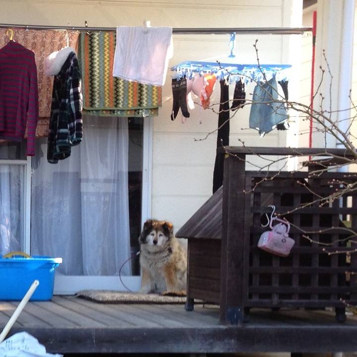 18d0f2f2 31b3 4669 a838 2fb66a01736c 1569114203029