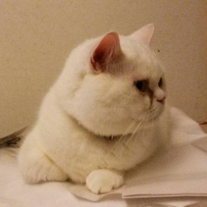 18d13611 78d0 4ef9 a4db ed07e7901b1a 1536234930063