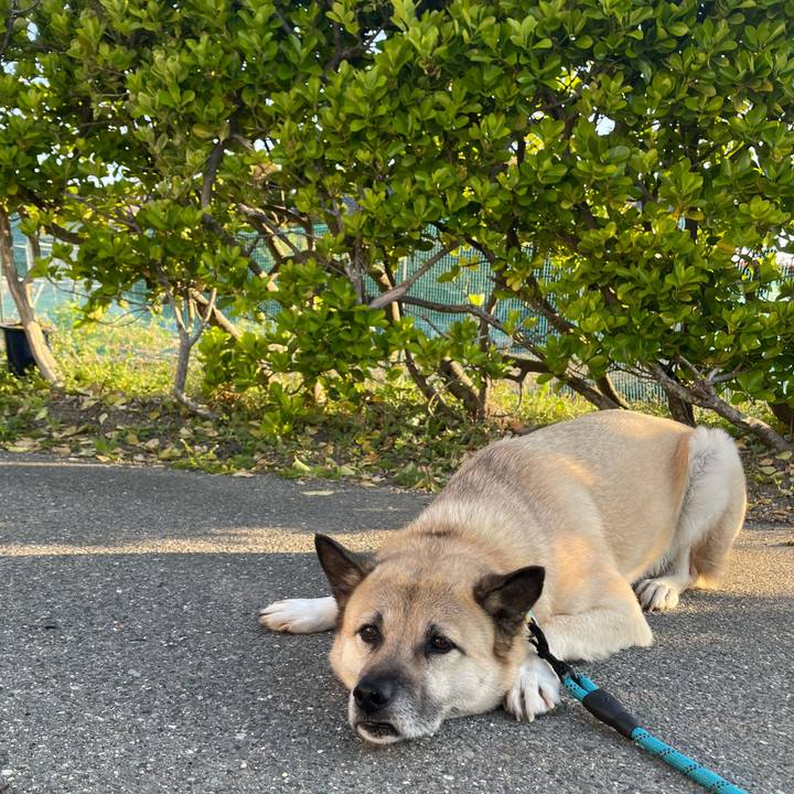 18d1879b f2f8 4abf b62c 5caa936a22d9 1680525270455