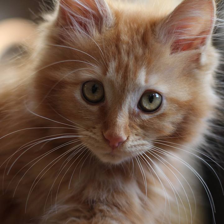 18d193d6 1617 4cbe 86f3 26e0810f00d7 1515767652265