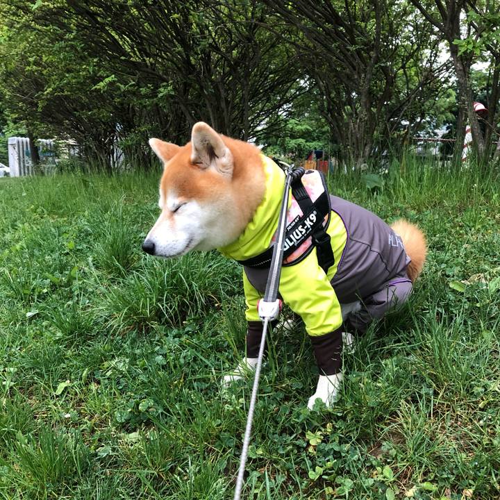 18d1becc 30c8 4a3e 8044 07953c741fc0 1559639650159