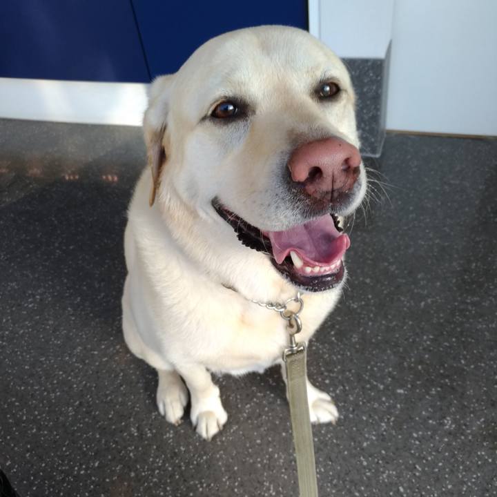 18d1c186 61ab 438b ac30 5b01adb8bc8f 1622599808853