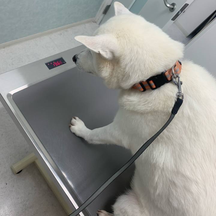 18d1cccc 19eb 41e6 a9a2 a418babaaad9 1554722945354