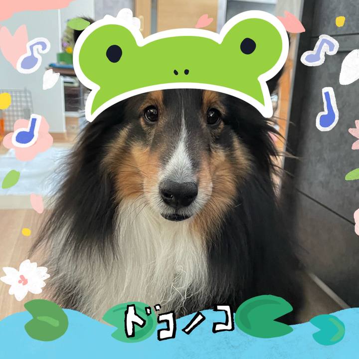 18d21c6d d8da 4d37 b4a3 f92506c655d5 1717561536096