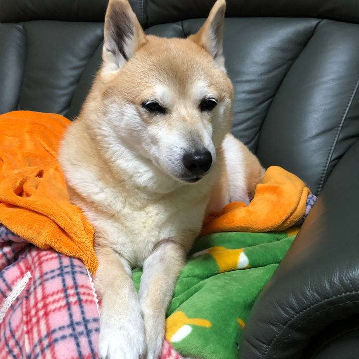 18d25249 4cad 4e17 a779 70dcdd46c865 1582984338835