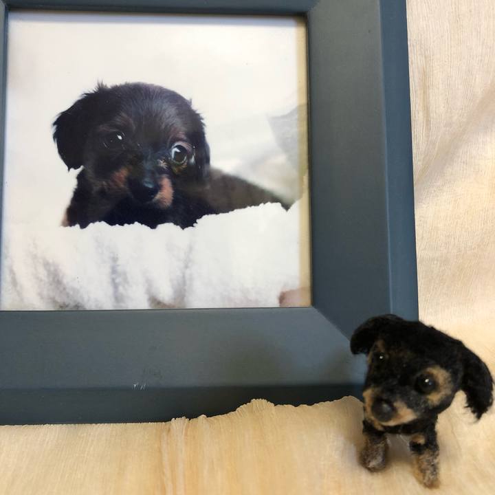 18d2adaf 0272 4d09 a27c ac9bf4114534 1530325841262