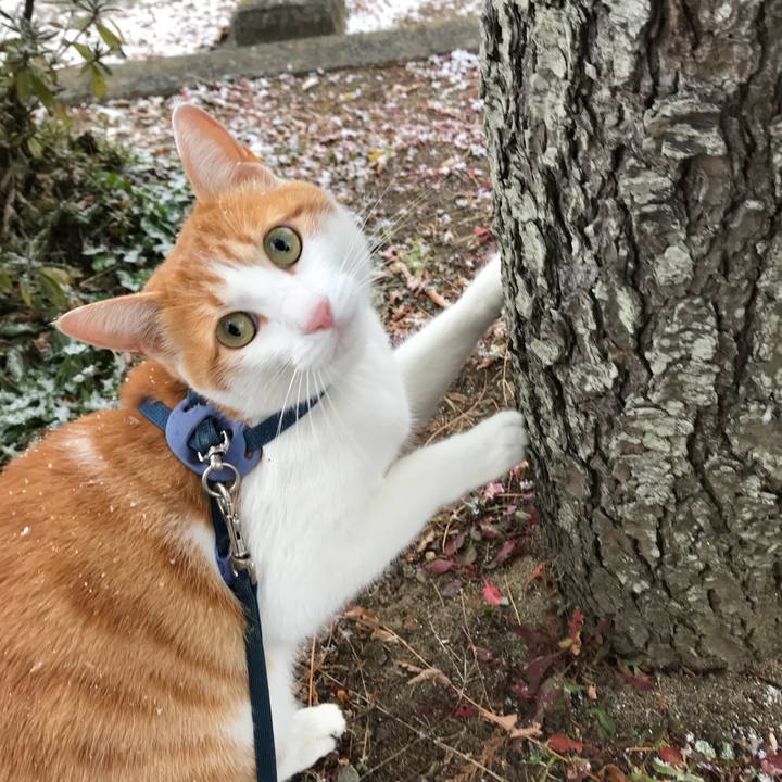 18d2cc3a 5ffc 47e6 b882 afa0538acad8 1512785097802