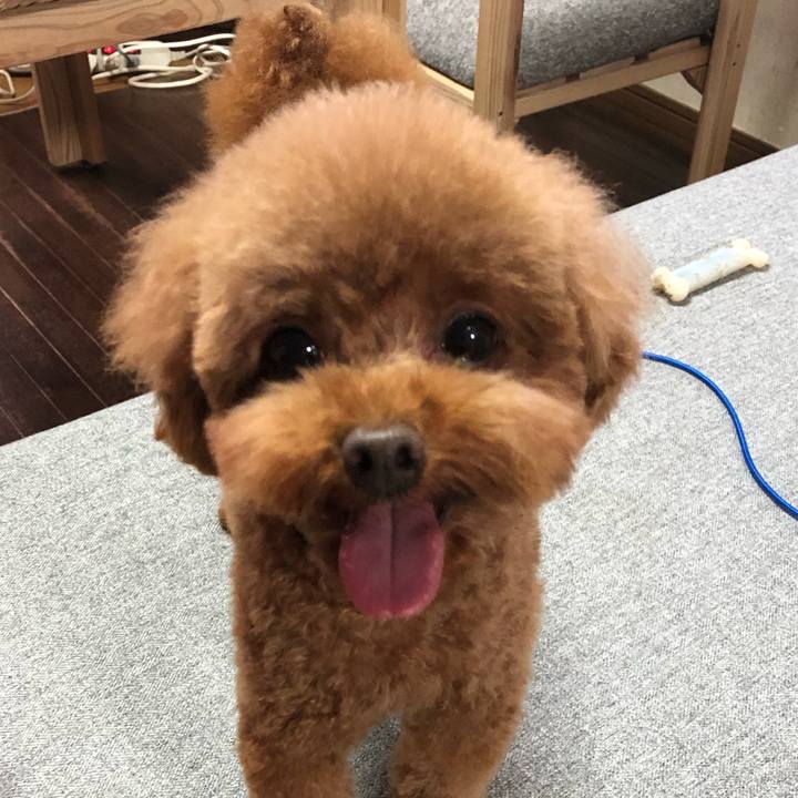 18d2d8ff d626 4e48 a03c 9d0505f81468 1592212646037