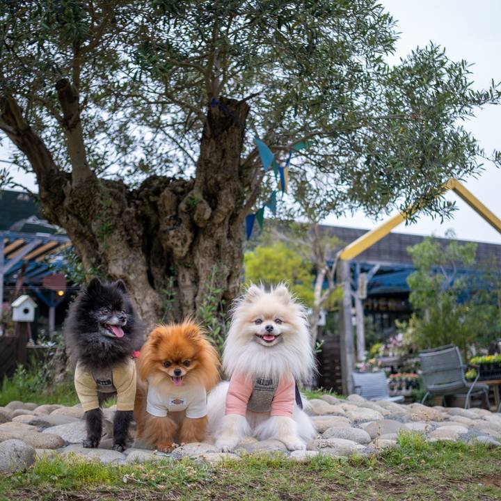 18d2f59a 896a 4950 b3f5 f03b722e6ef0 1592520297147