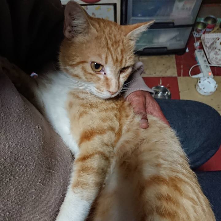 18d31491 ad4f 42f1 814e c5fa75d51d88 1560637897186