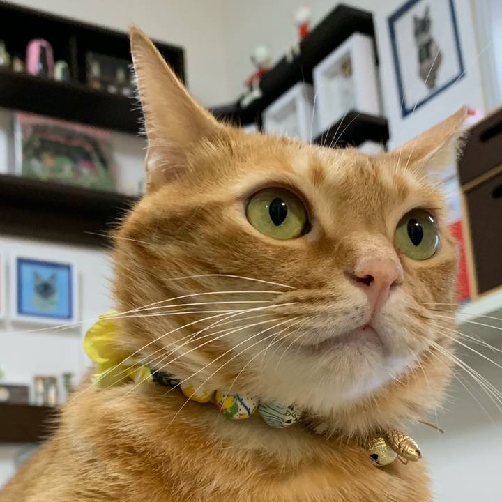 18d32da1 dd56 43de bfcf ae7be4f2774b 1567603890621