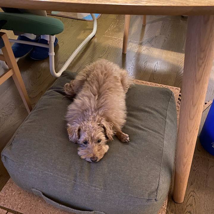 18d33859 f00e 4cb7 99c3 d2dee3c01221 1672176725315