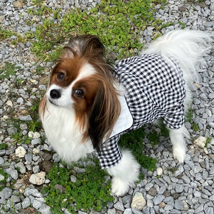 18d33cc3 7a89 4665 ba45 ba634025f1de 1727221188728