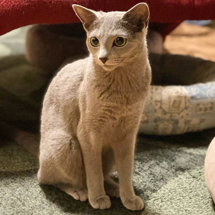 18d3670d 3826 47a2 8c16 ba9703a19f2c 1617100044134