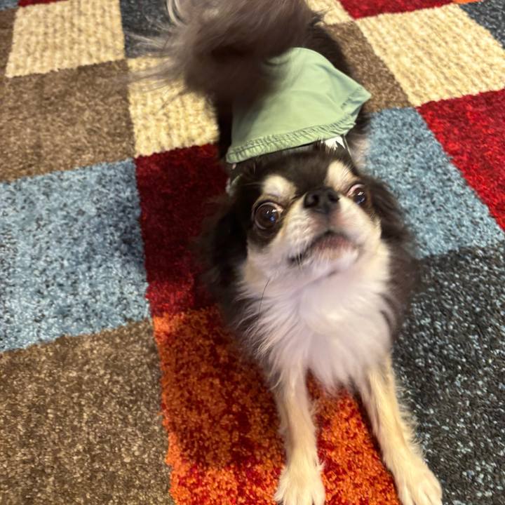 18d3897e c44e 4260 9c41 8fc59d621c22 1748701931257