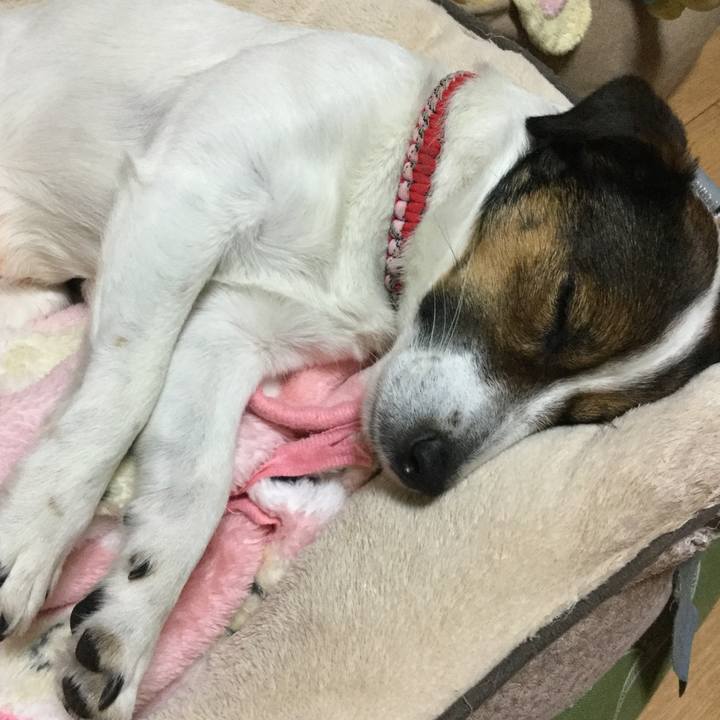 18d3b5c2 e8b7 4cc6 a479 187783b1955c 1556453784763