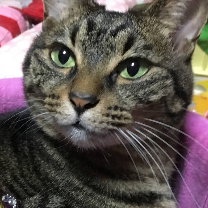 18d3c273 2daa 4a22 9a8f 7f2a2a56ab7e 1541773813587