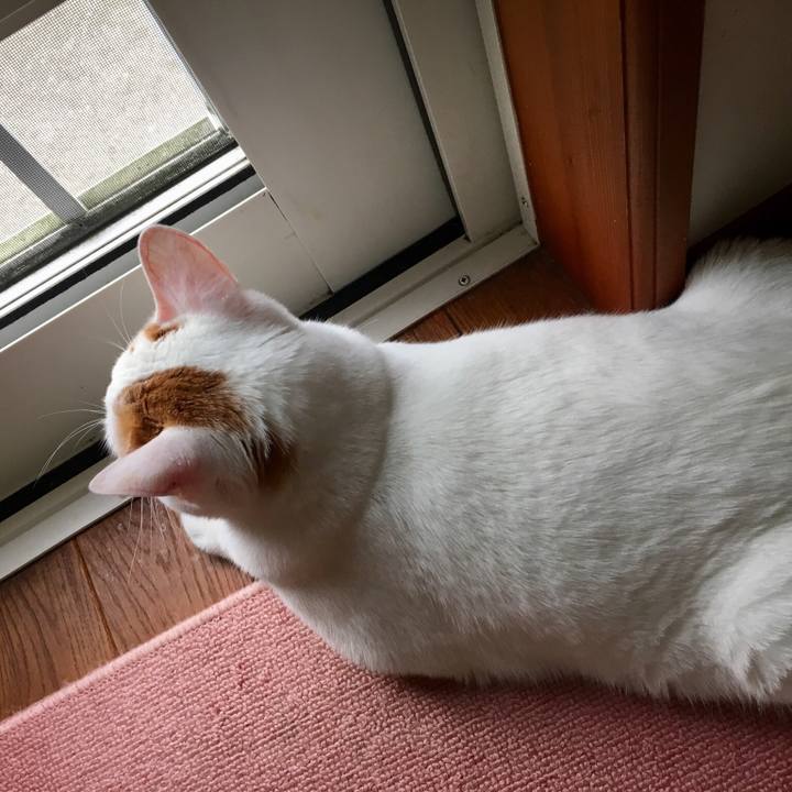 18d3d0f1 854b 4134 bc88 4f942bed28d5 1529401755811