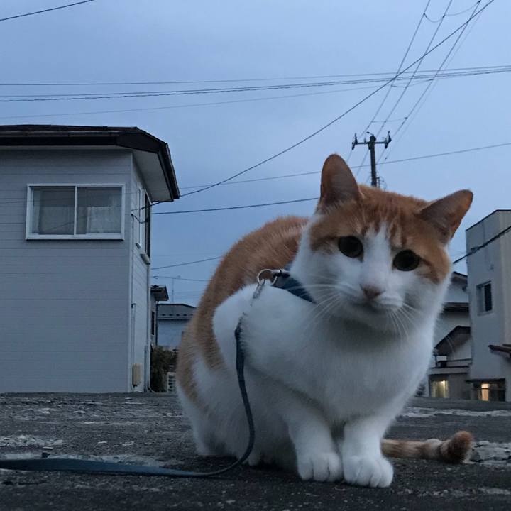 18d3eb5e 2cad 42f9 ab7a e79b3cf8a79a 1522314866542