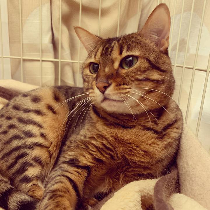 18d40203 d78e 4d90 893b 59dd017d9464 1545449293802