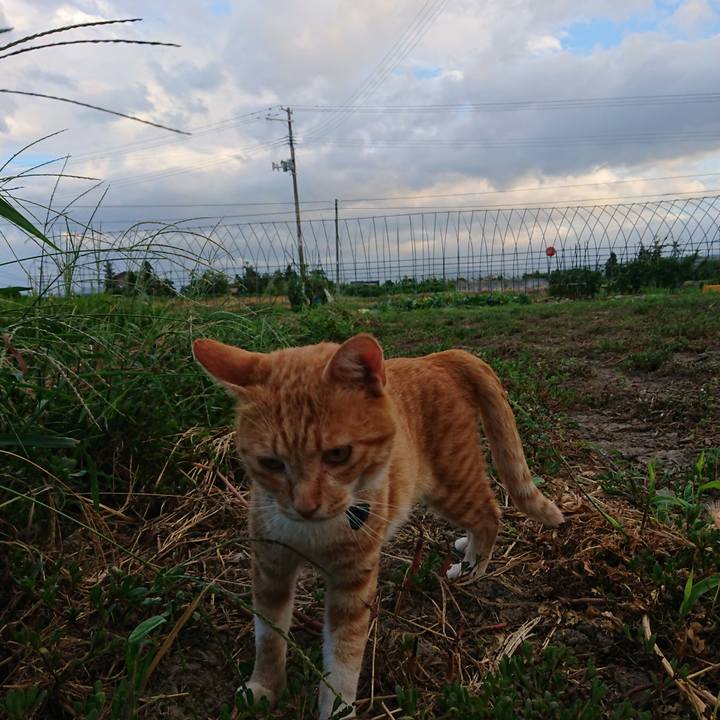 18d4885e b918 48fc a599 f62446e78805 1565860382041