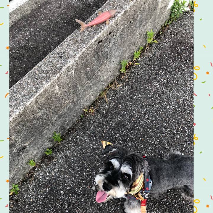 18d4c85f 10e5 4249 b045 e93e290a2fc3 1656152947739