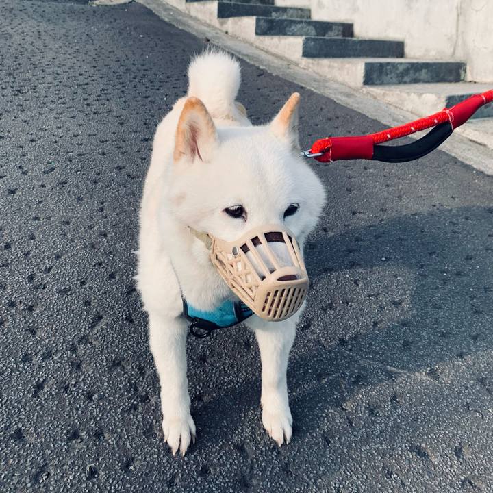 18d4caca 3d4f 4ce3 a741 017026cf9d8b 1681163715577