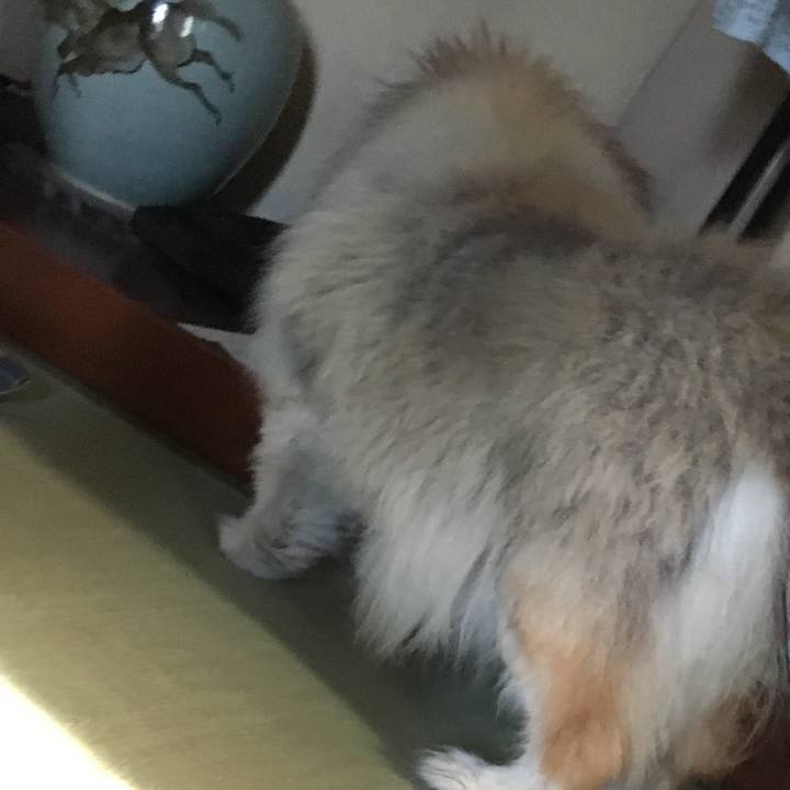 18d4dc40 aa66 47a5 a477 a80adcefea10 1555916270055