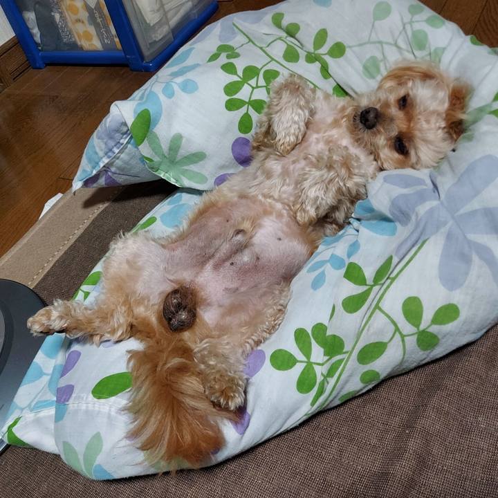 18d4e5ad 2779 4fab bf6f cb0bdb4cee27 1694502310828