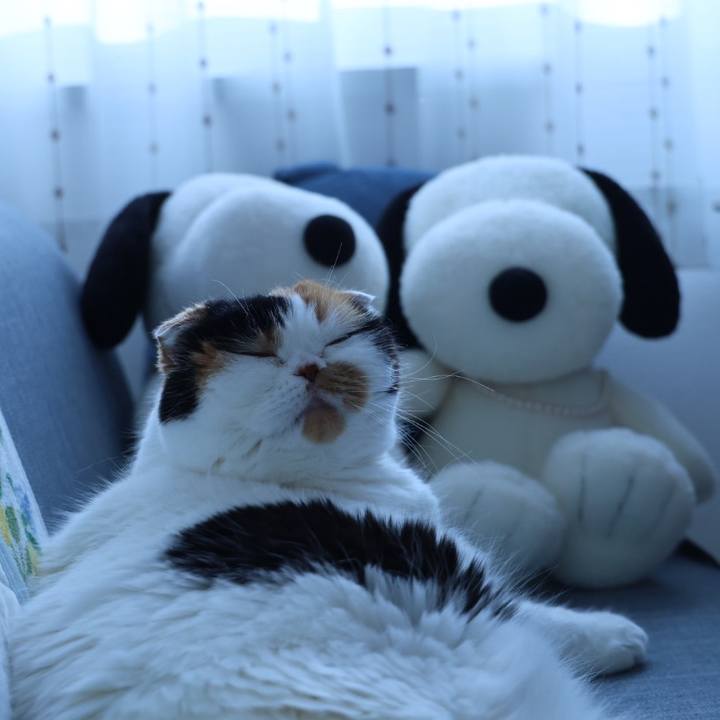 18d55fd3 15e2 42f5 9de1 cf069116fc17 1687579238329