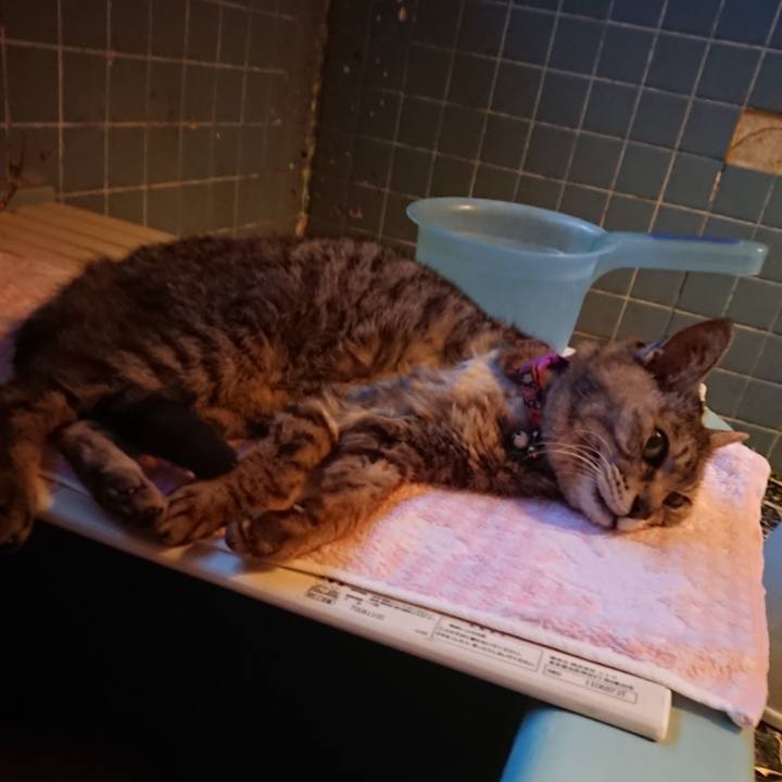 18d5994b 62f9 4e6d a376 9ffe7e1e0141 1591783873403