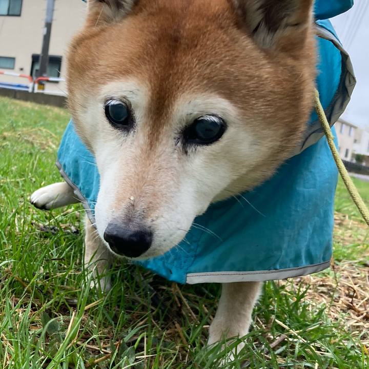 18d59cac 52ec 4597 b262 62a8ca14763f 1708559096066