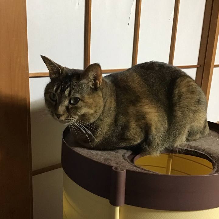 18d5cf9e 1eff 4727 9d62 9ce157e3369d 1735552298576