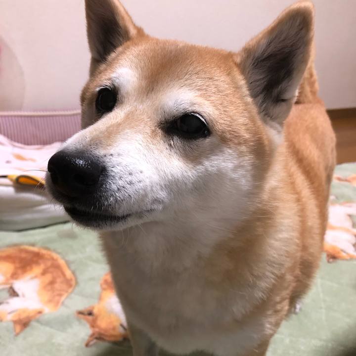 18d5d92f 8fa2 45bd 80c7 57fcaa400647 1608207559754