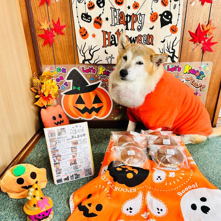 18d5dd60 3ed4 4dd4 a76b 843451b0ea74 1761279083588