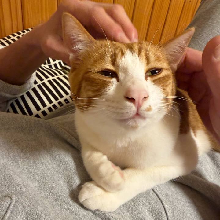 18d5e8c4 93f8 4310 ab60 ec4fce38c21c 1771984224319