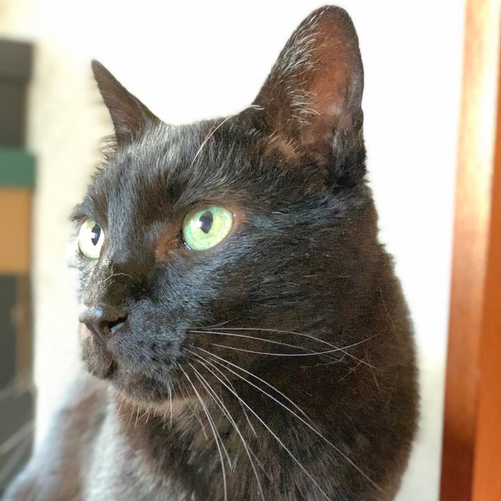 18d5fa69 e4f6 4d41 ad47 a45d99eaae65 1588381507374