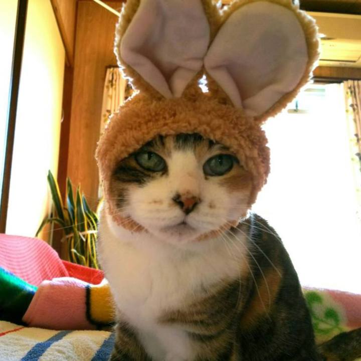 18d62b00 6ad6 486f 8875 06383e6a0352 1548242935006