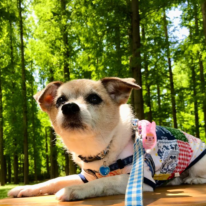 18d670fd 0b79 4fd2 857b 2477839ba44a 1651291342515