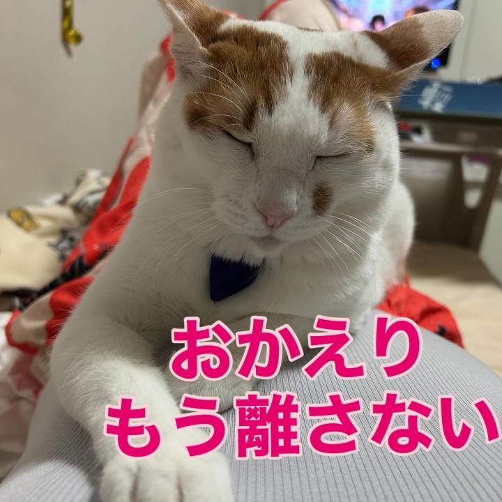 18d677cb 33a2 41e7 b228 85a1d1828471 1761668739660